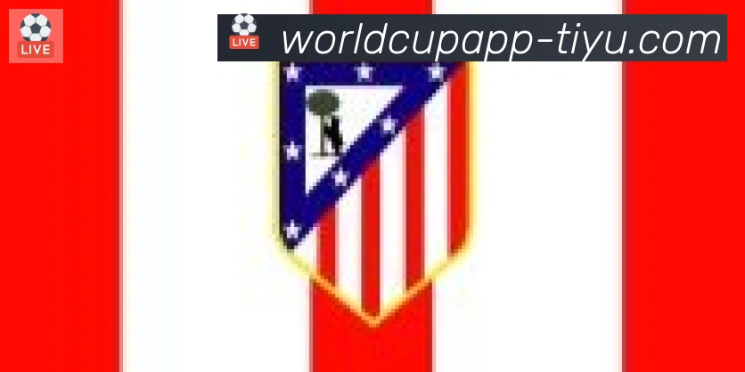 世界杯APP下载合作伙伴
